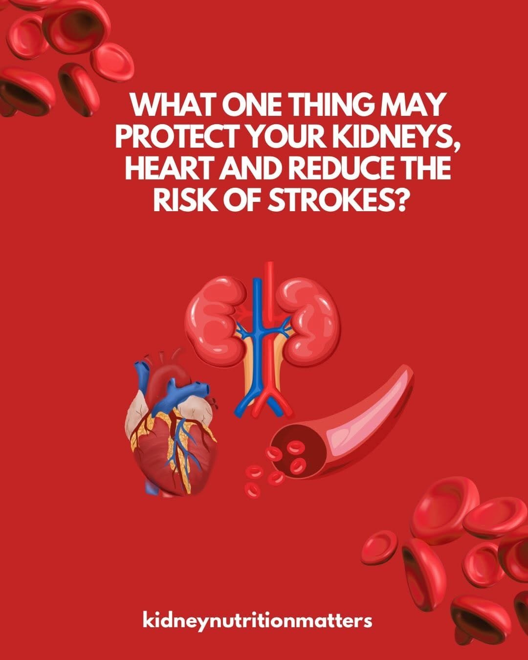 Original guide cover: Blood pressure and your kidneys