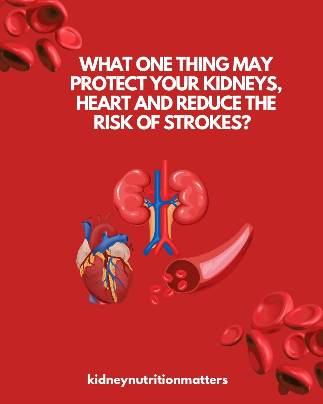 Original guide cover: Blood pressure and your kidneys